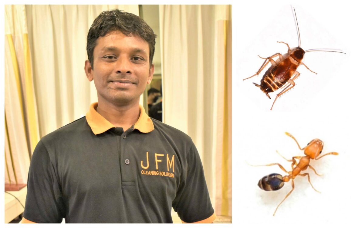 Cockroach & Ant Control