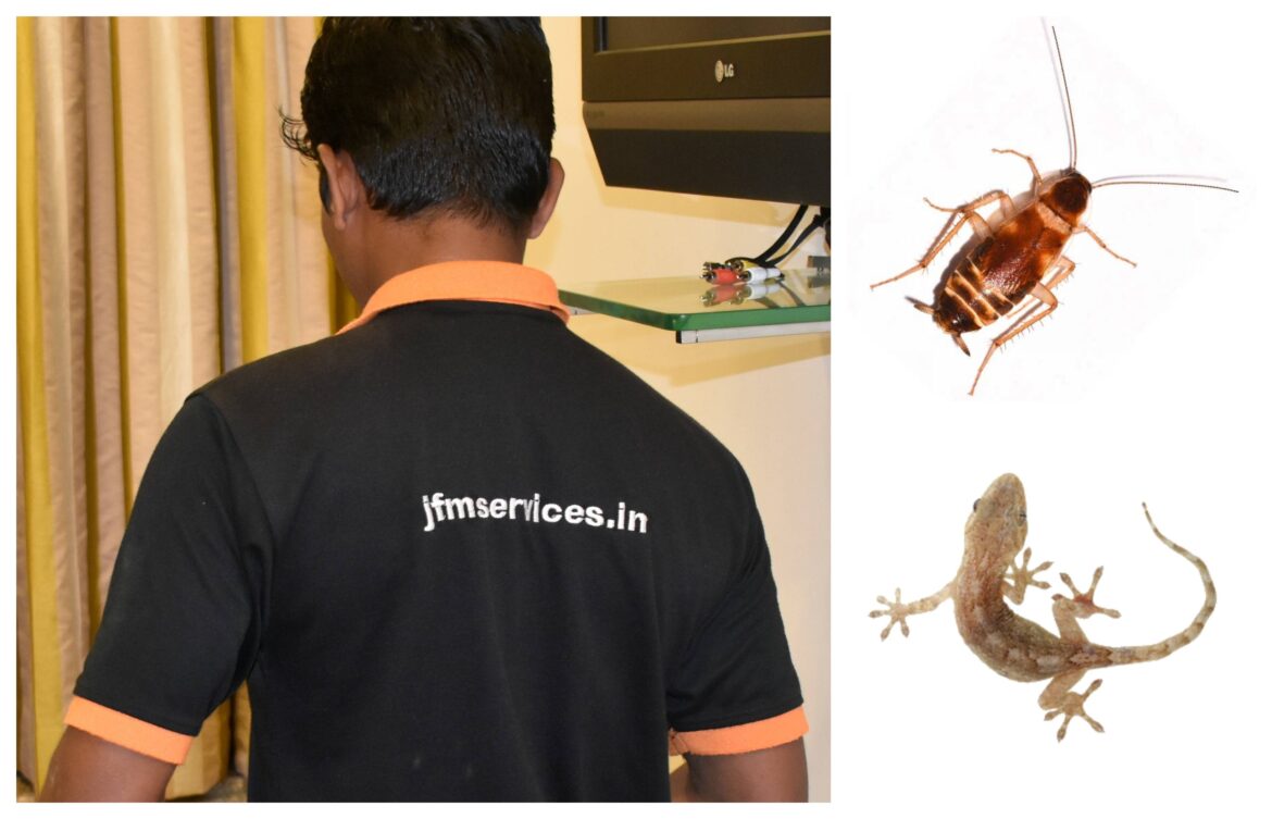 General Pest Control